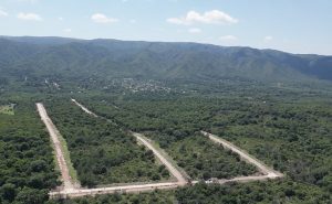 carrusel-la-florita_01