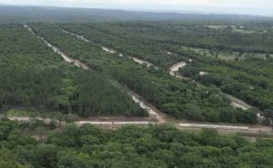 carrusel-la-florita_04